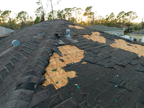 Best Steel Roofing  in Logan Elm Village, OH